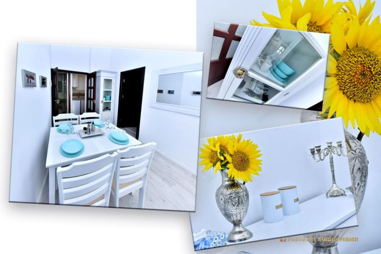 Casa Fotografului Villa Köstence Dış mekan fotoğraf