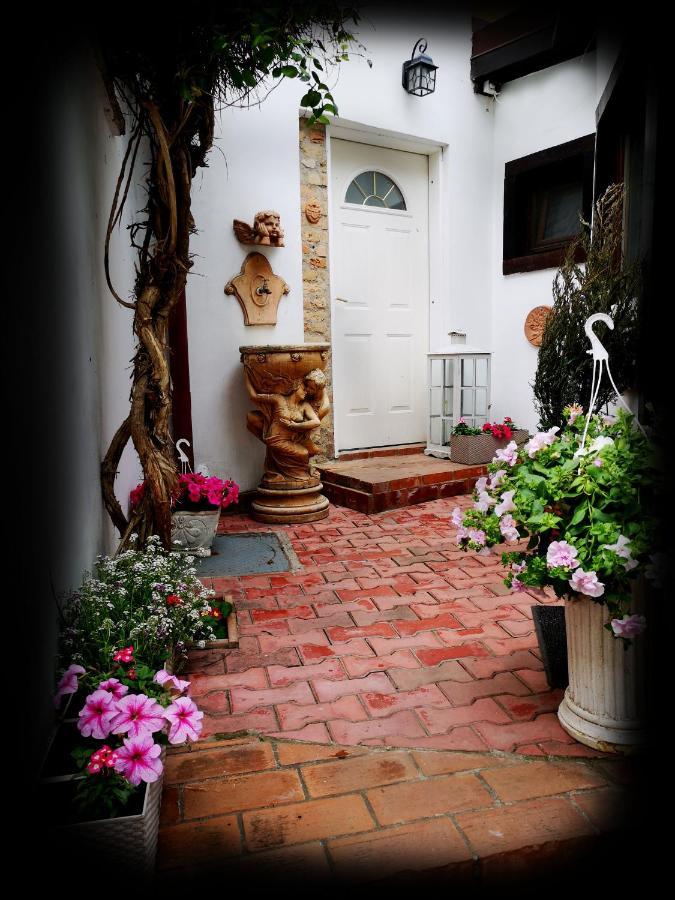Casa Fotografului Villa Köstence Dış mekan fotoğraf