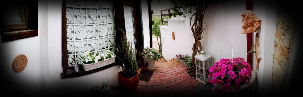 Casa Fotografului Villa Köstence Dış mekan fotoğraf
