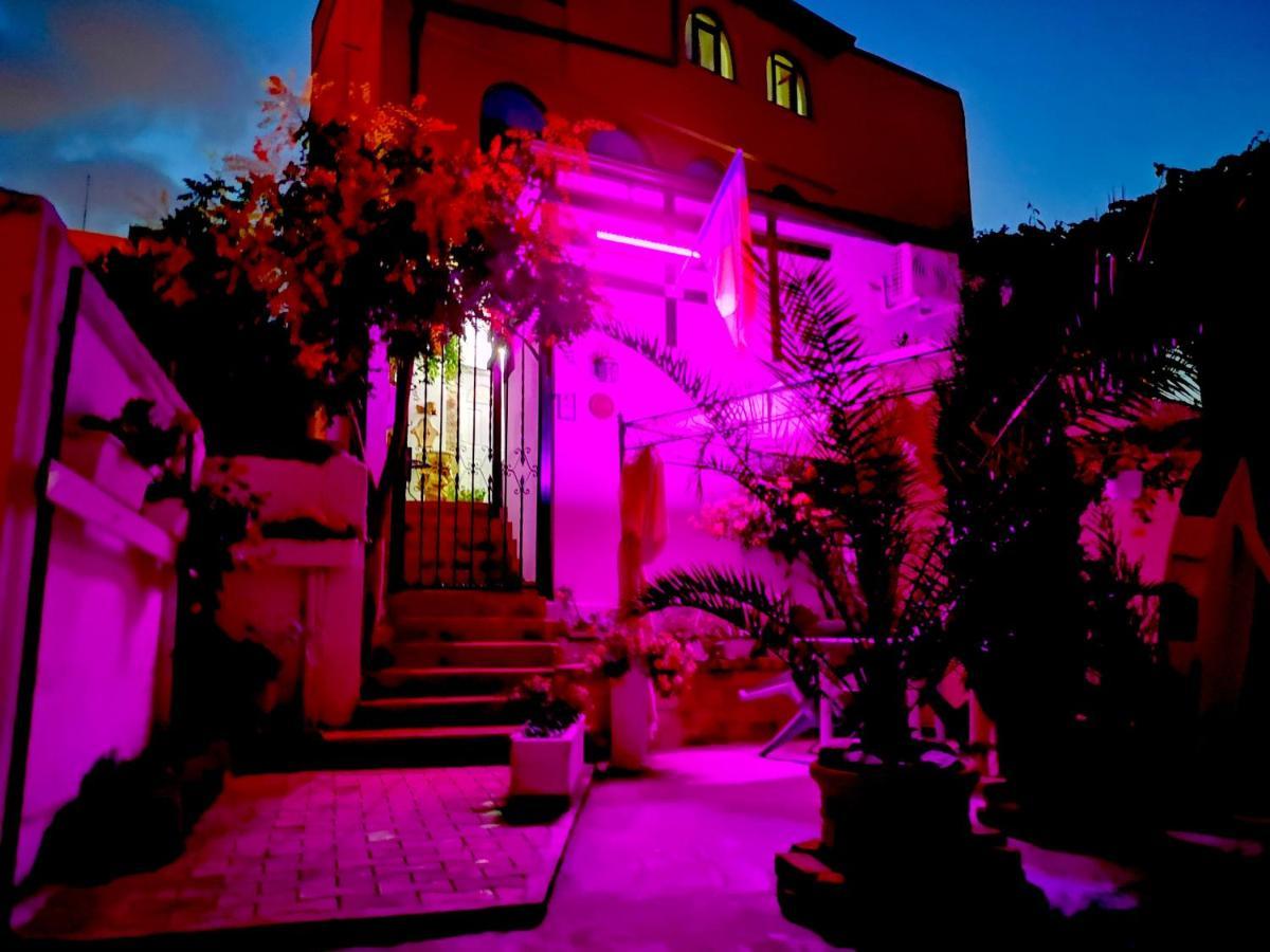 Casa Fotografului Villa Köstence Dış mekan fotoğraf