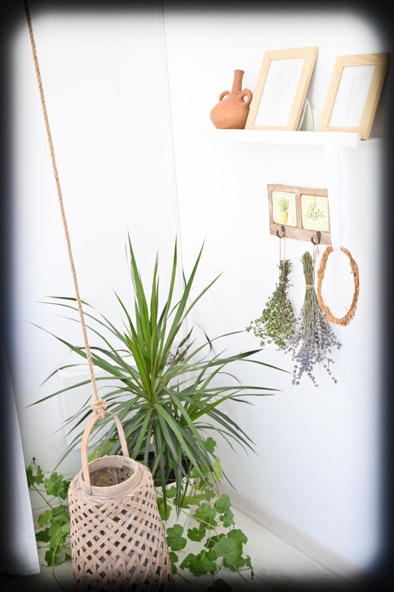 Casa Fotografului Villa Köstence Dış mekan fotoğraf