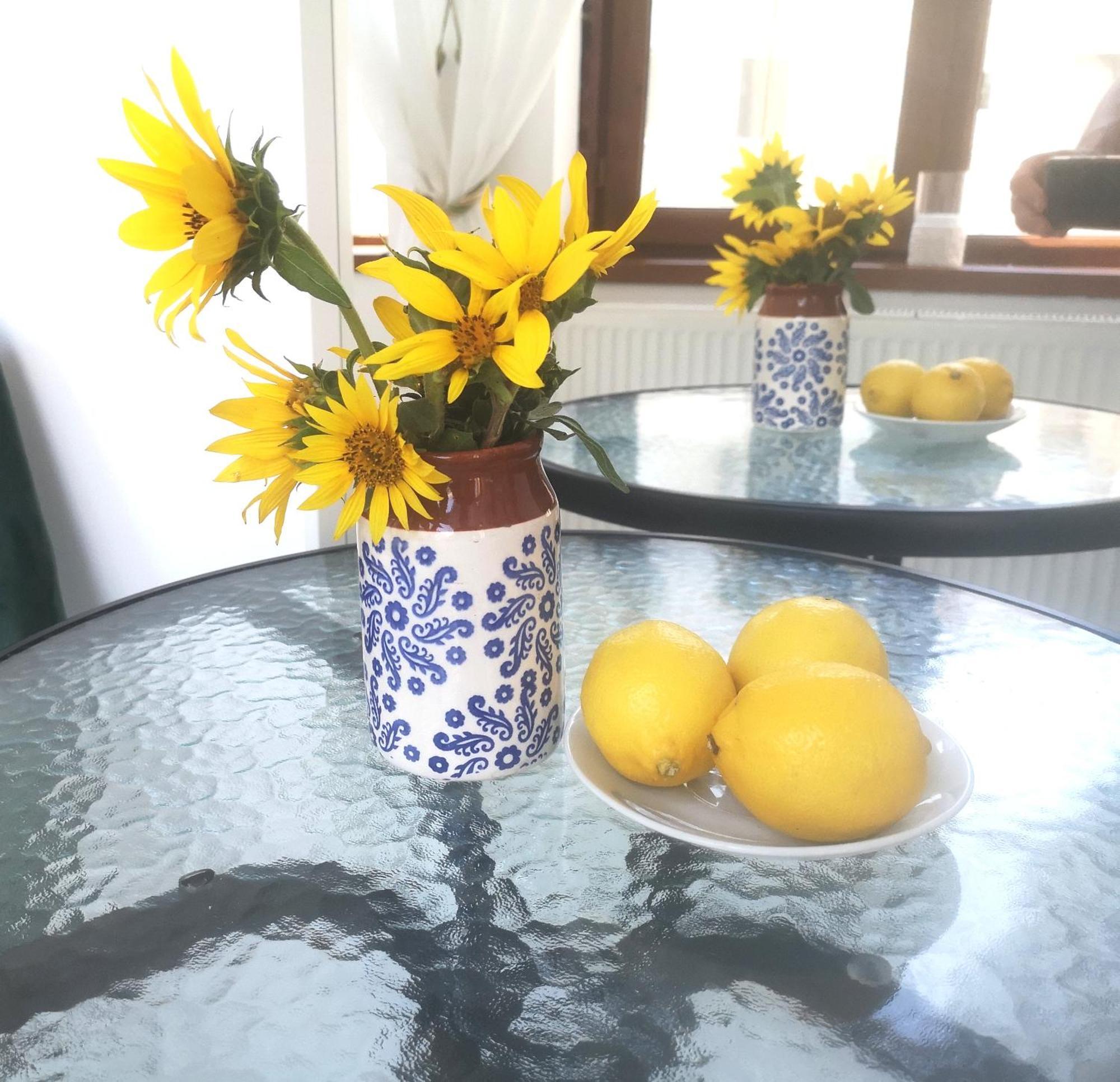 Casa Fotografului Villa Köstence Dış mekan fotoğraf